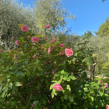 La Bastide Sainte Therese Bed & Breakfast