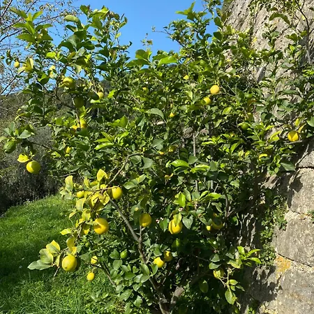 Bed & Breakfast La Bastide Sainte Therese
