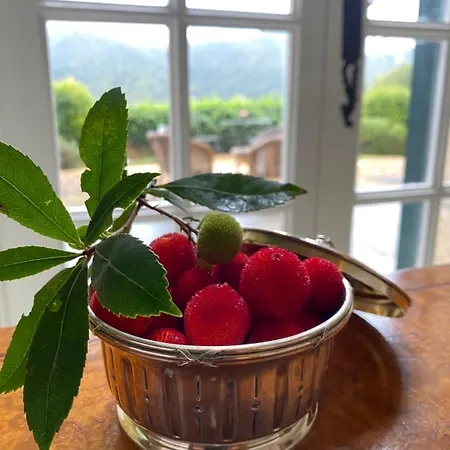 La Bastide Sainte Therese Bed & Breakfast *